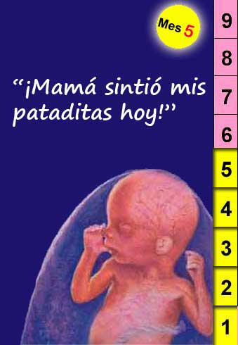 Adopción espiritual