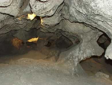 Cueva